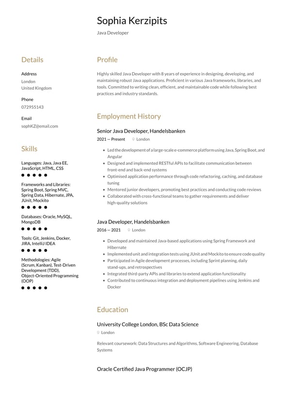 Java Developer resume example