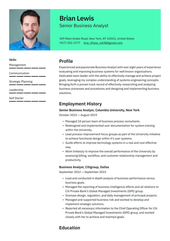 Senior Business Analyst  resume example
