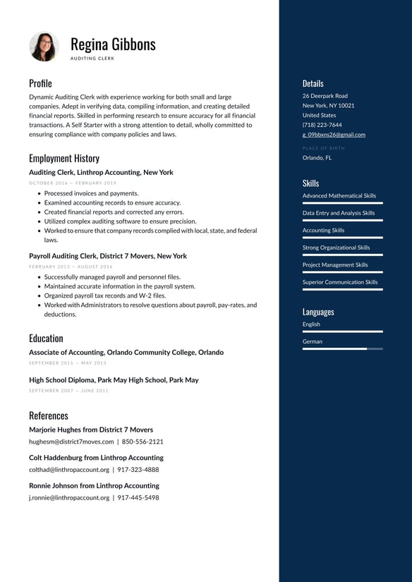 Auditing Clerk resume example