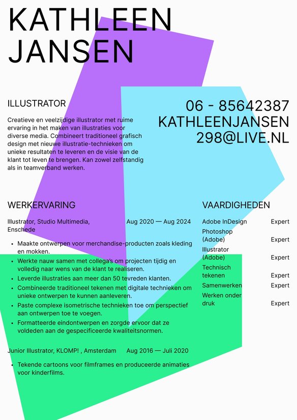 Illustrator resume example