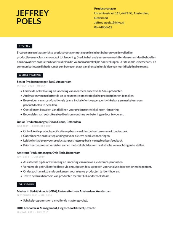 Productmanager resume example