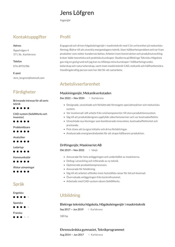 Ingenjör resume example