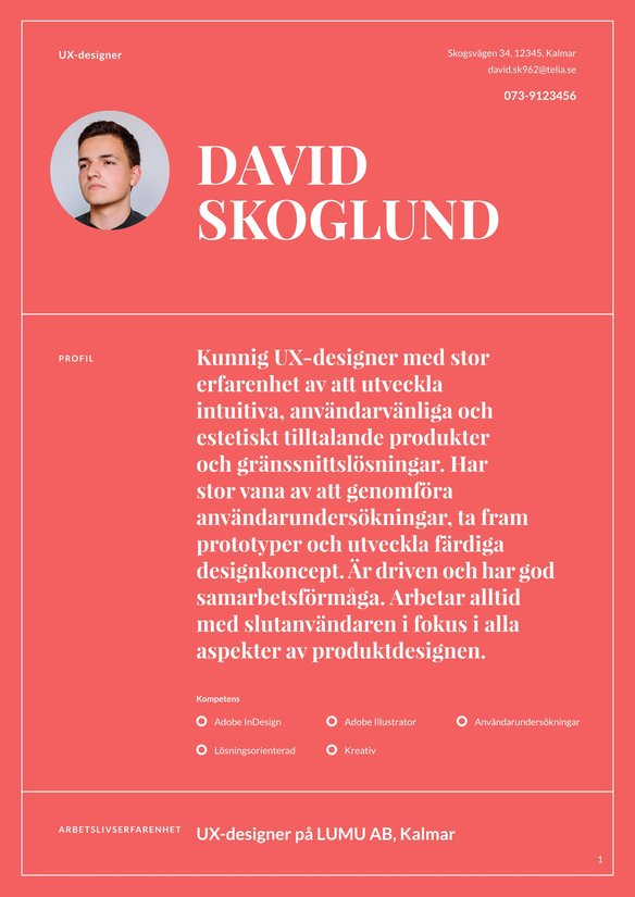 UX-designer resume example
