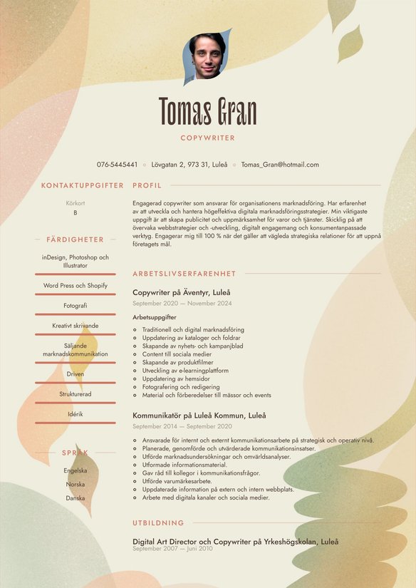 Copywriter resume example