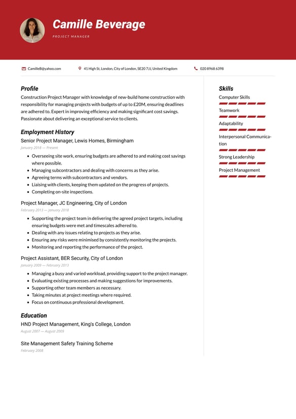 Project Manager resume example