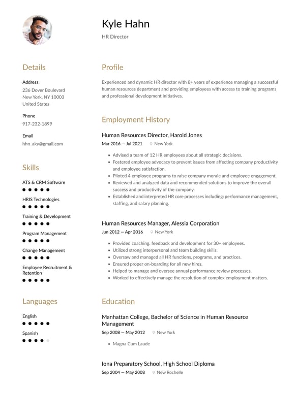 HR Director resume example