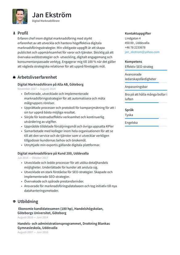 Digital Marknadsf&ouml;rare resume example