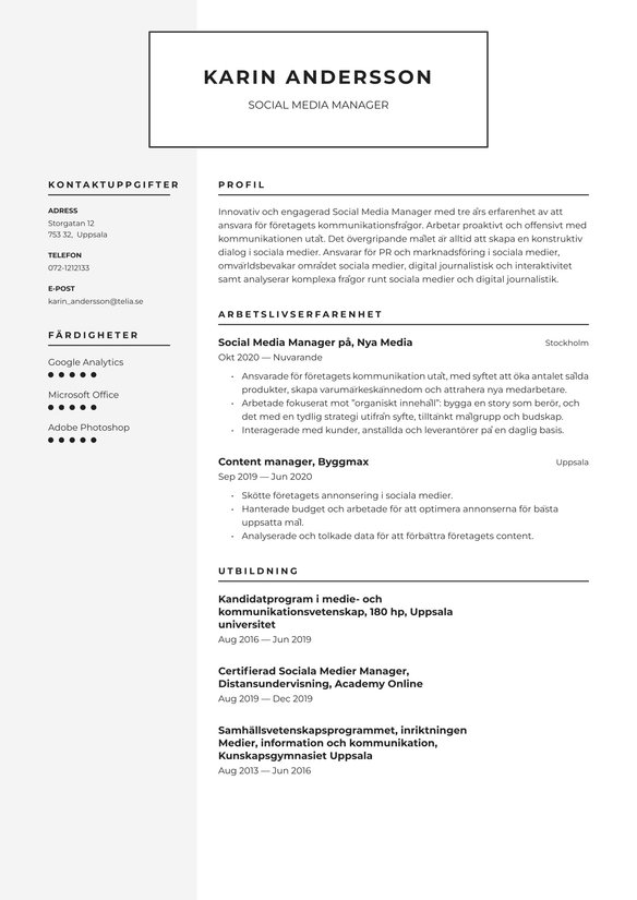 Social Media Manager resume example