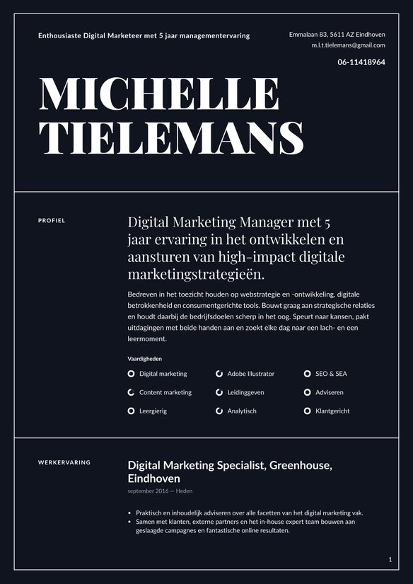 Digital Marketing resume example