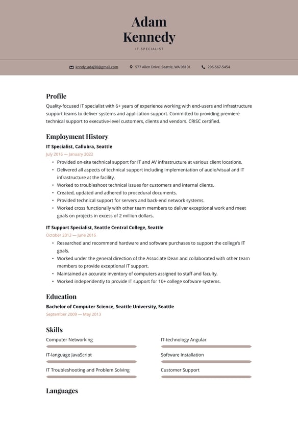 IT Specialist resume example