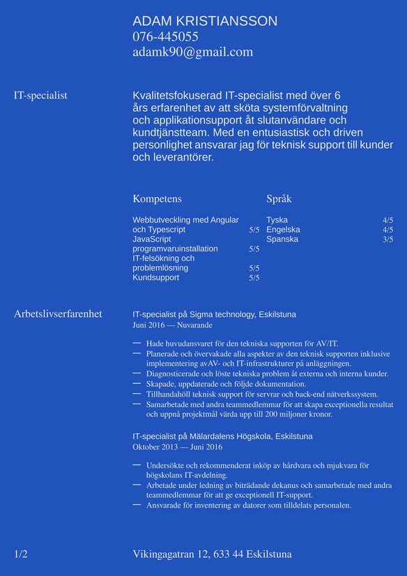 IT-specialist resume example