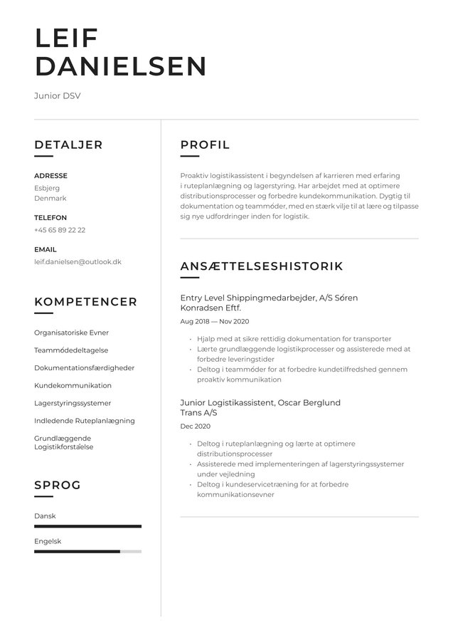 Begynderniveau DSV Translation missing: da.examples.cover_letter_example