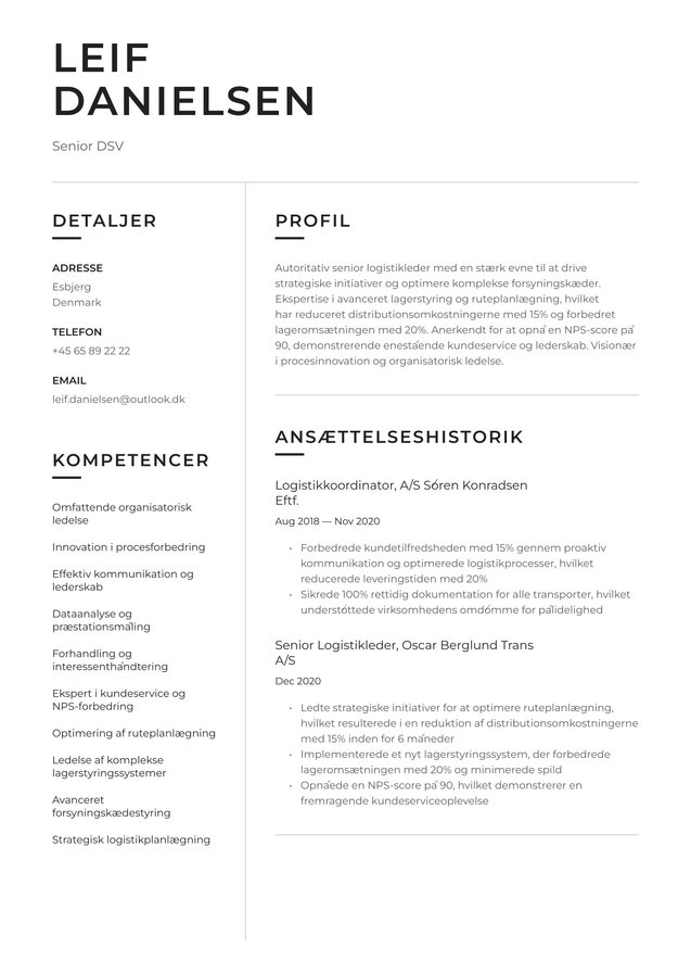 Seniorniveau DSV Translation missing: da.examples.cover_letter_example