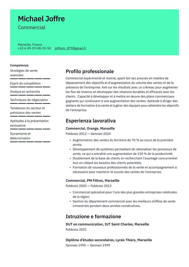 Esperienza intermedia curriculum vitae in francese Translation missing: it.examples.cover_letter_example