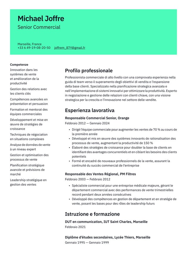 Esperienza avanzata curriculum vitae in francese Translation missing: it.examples.cover_letter_example