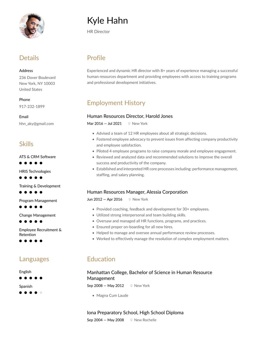 HR Director Resume Examples & Writing tips 2023 (Free Guide)