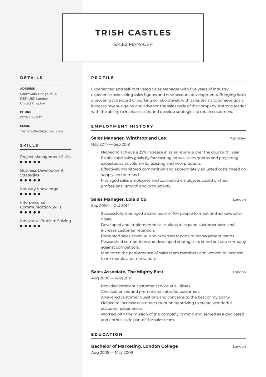 Amsterdam resume template
