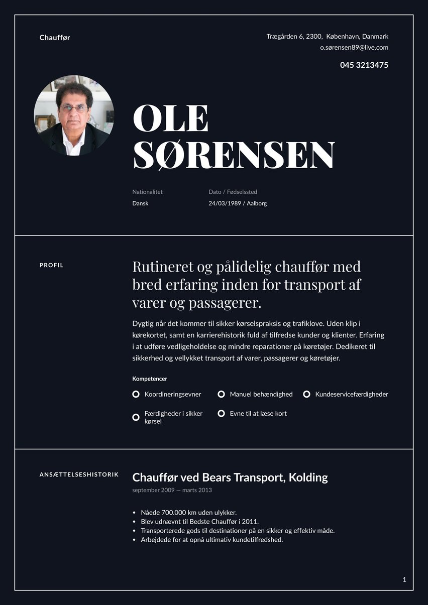 Chicago resume template