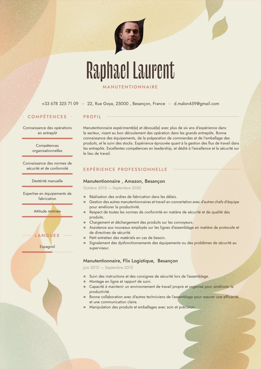 Rio resume template