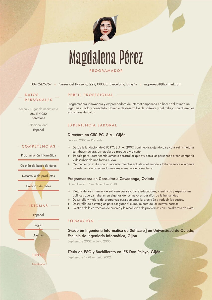 Río resume template