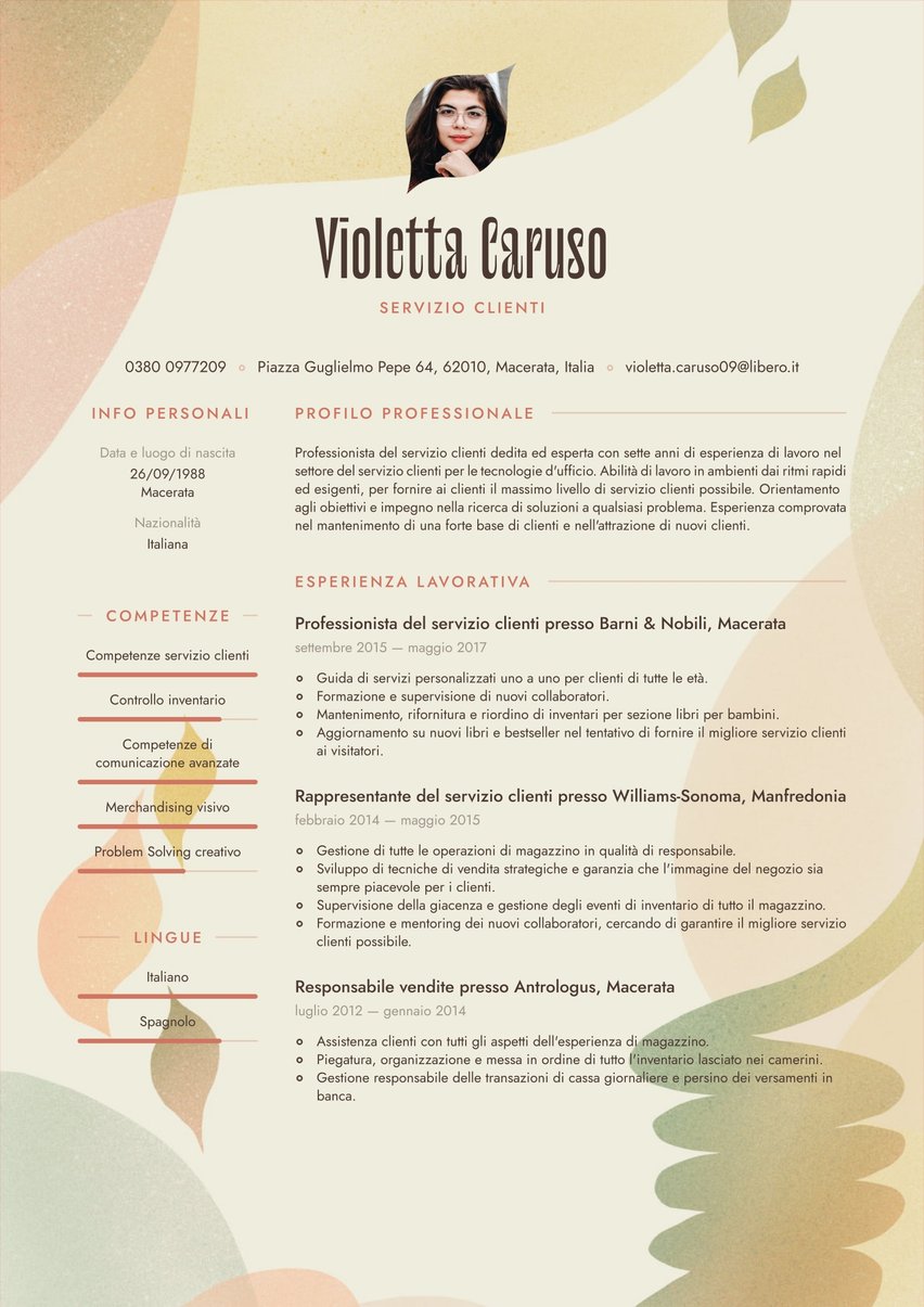 Rio resume template
