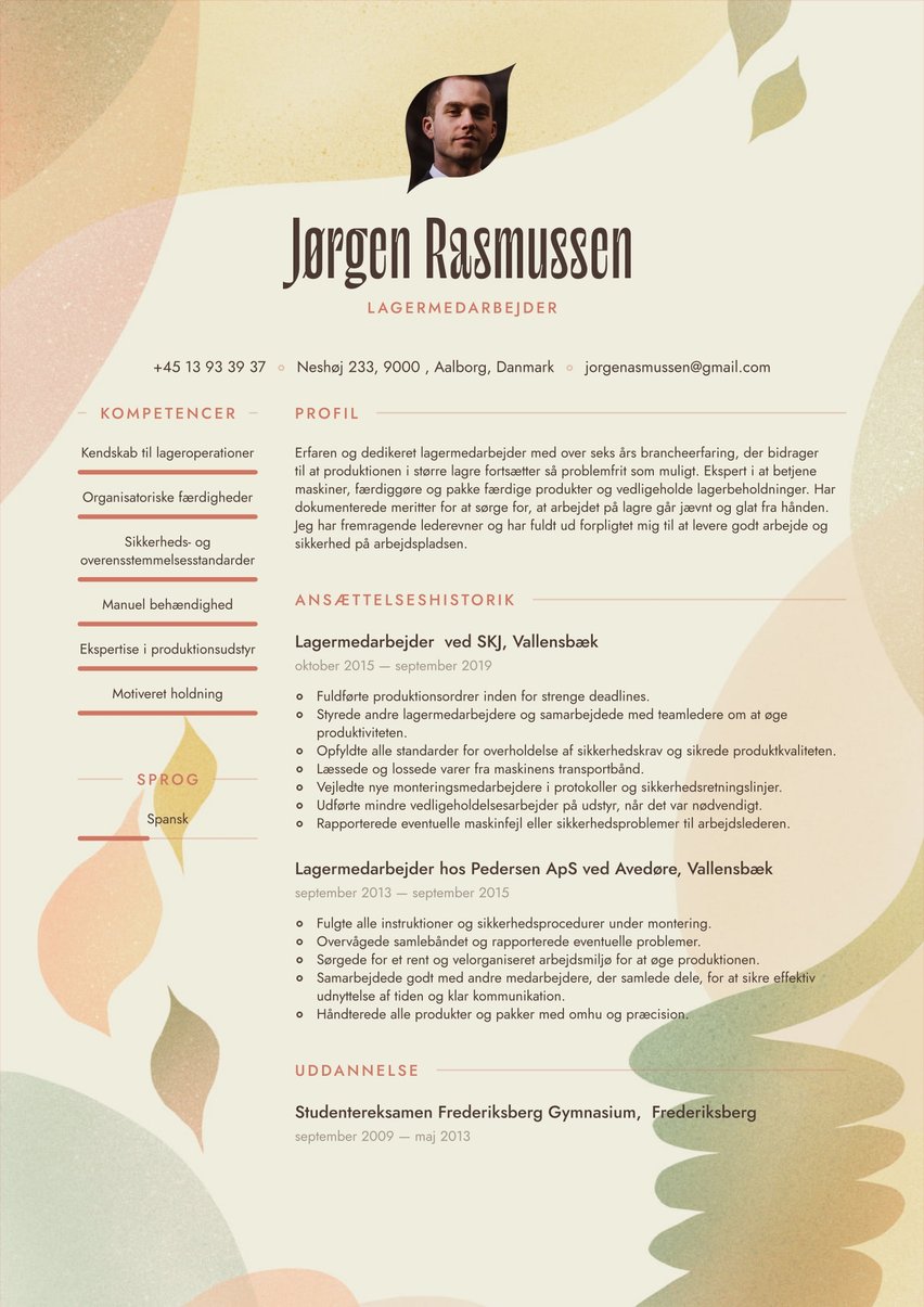 Rio resume template