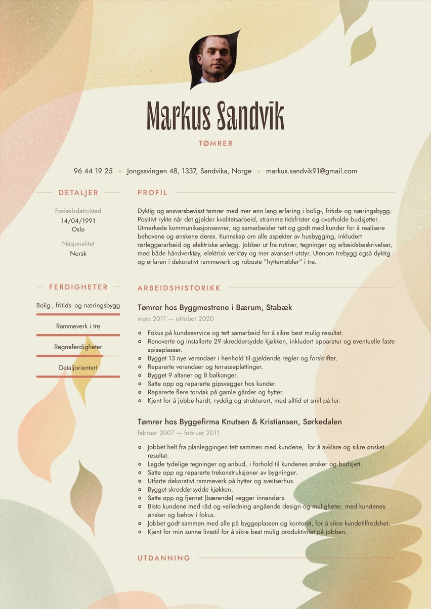 Rio resume template