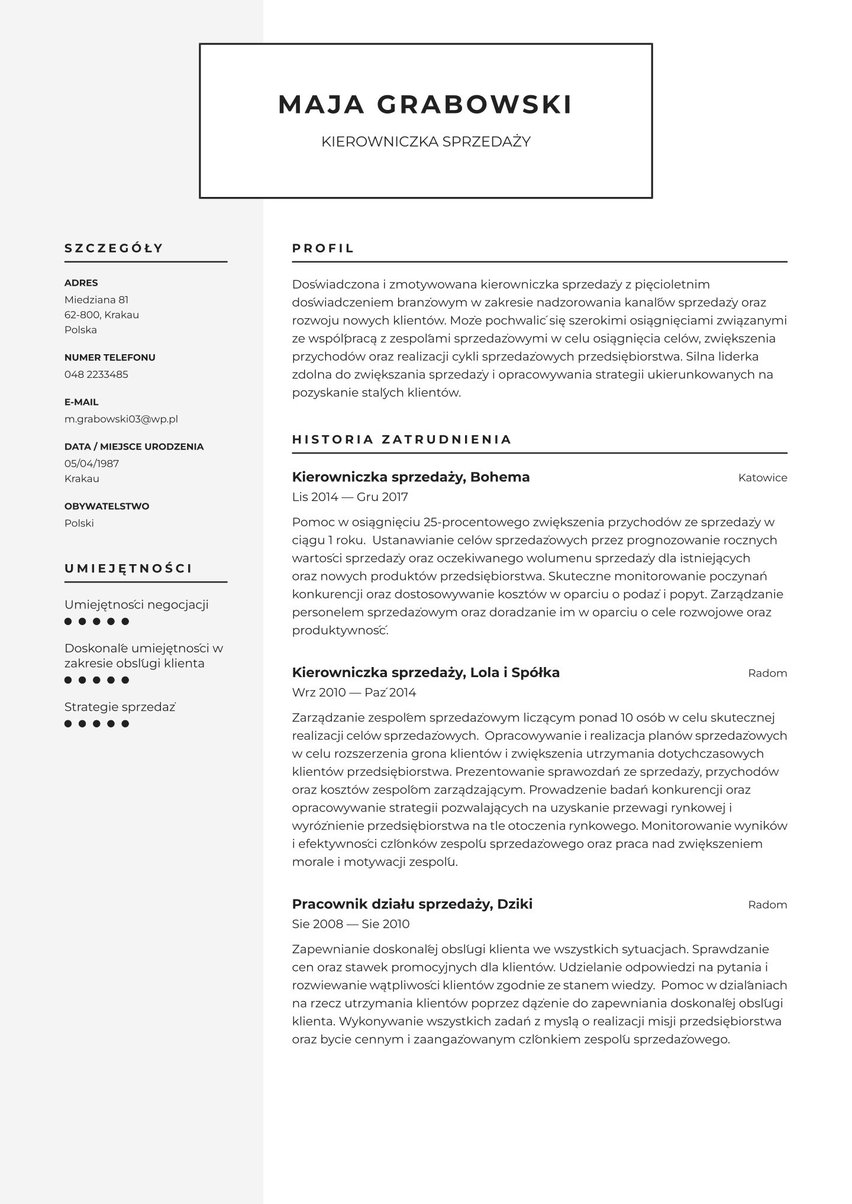 Amsterdam resume template