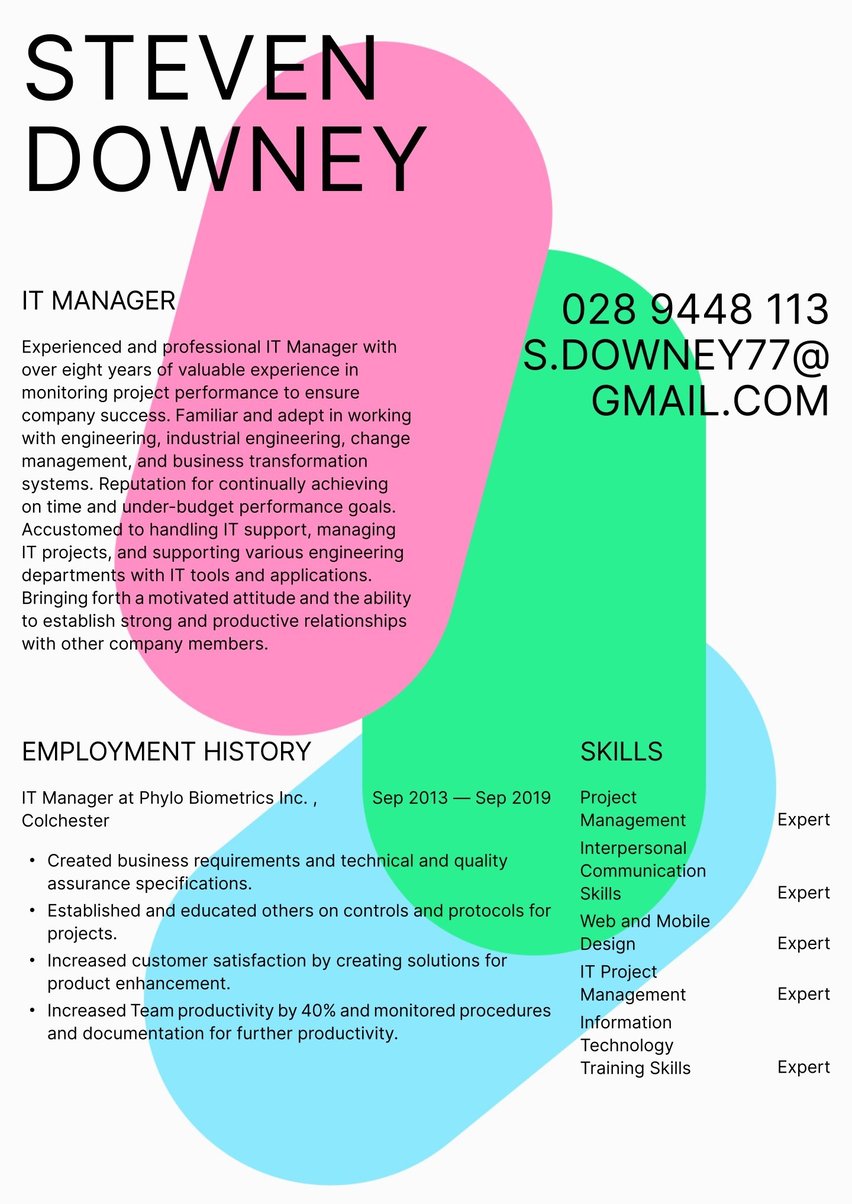 Cape Town resume template