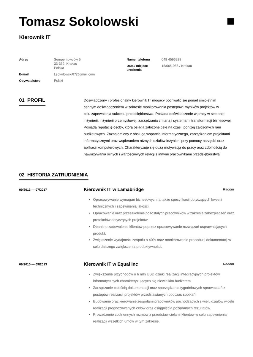 Singapur resume template