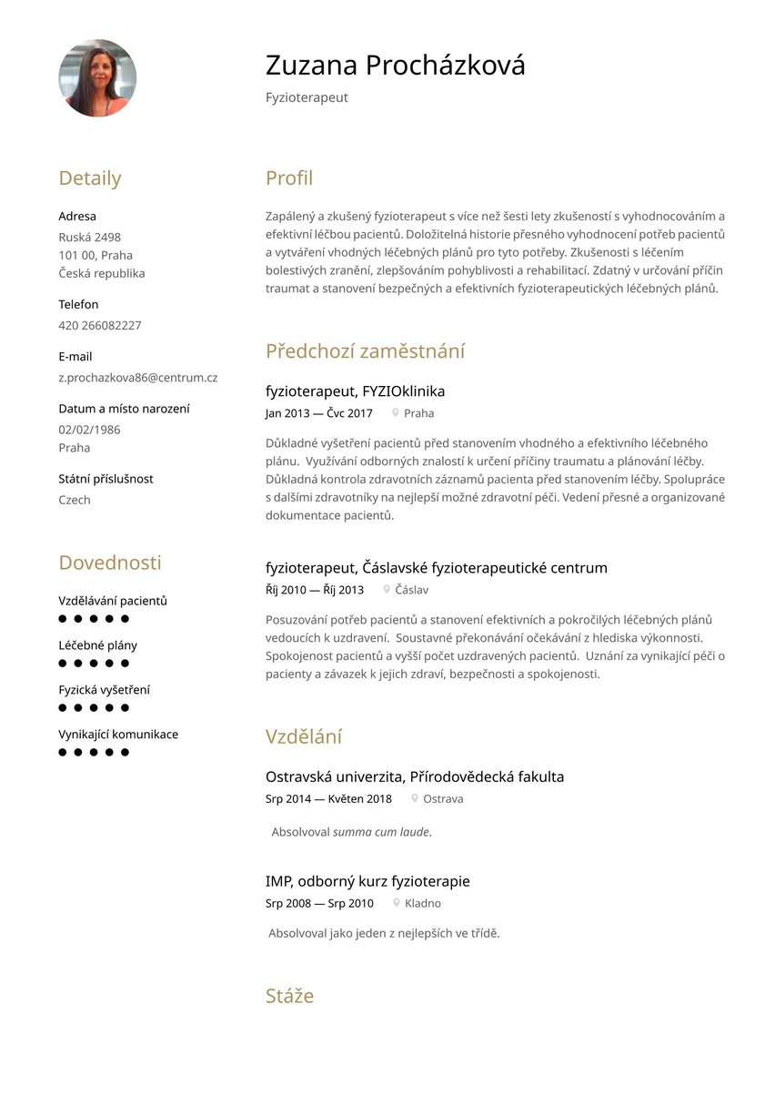 Milán resume template