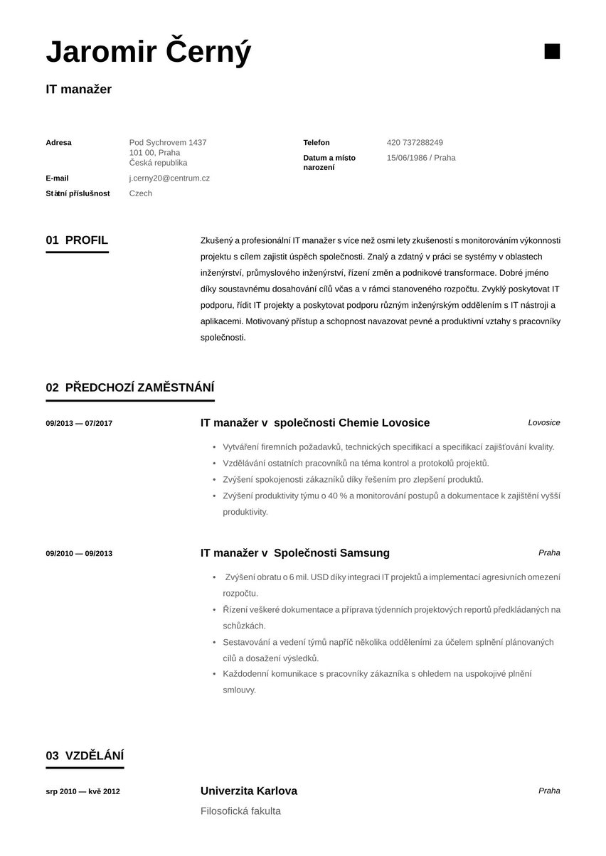 Singapur resume template