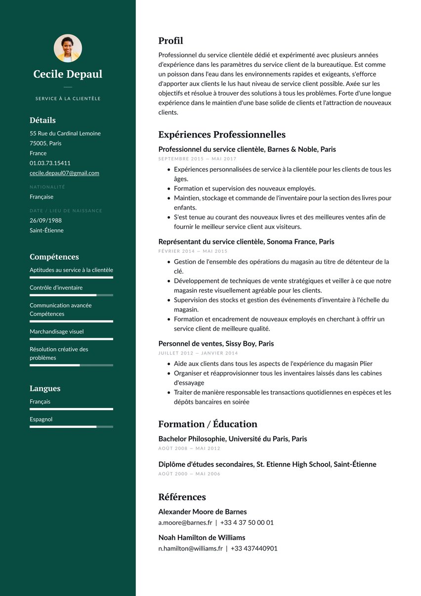 Dublin resume template