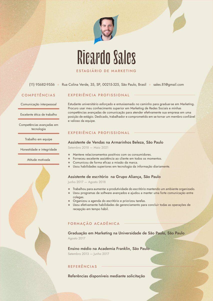 Rio resume template