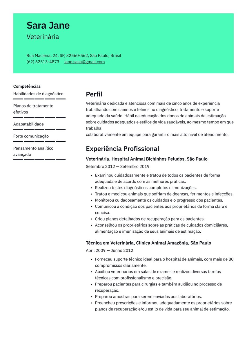 Viena resume template
