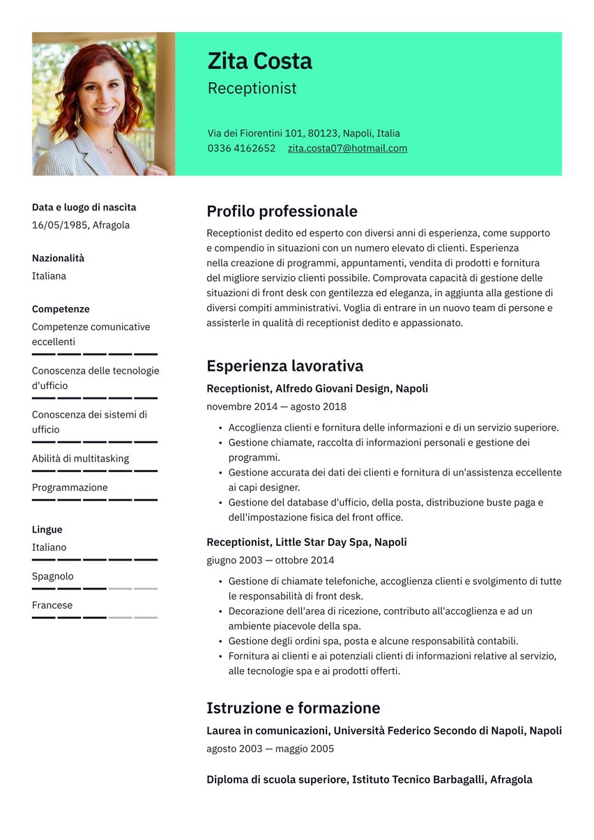 Vienna resume template