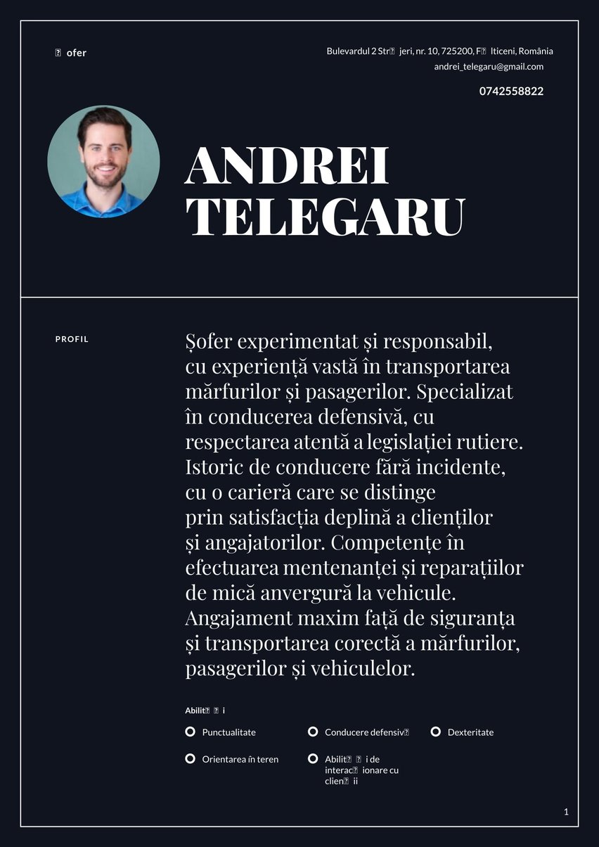 Chicago resume template