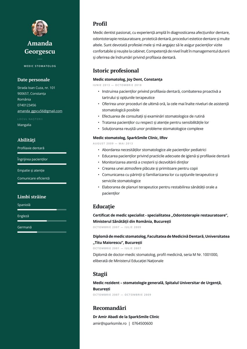 Dublin resume template