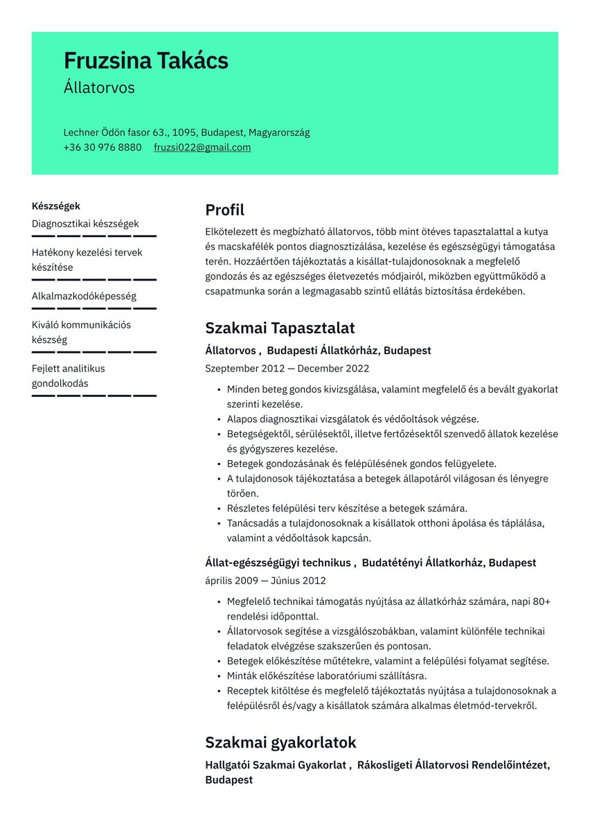 Bécs resume template