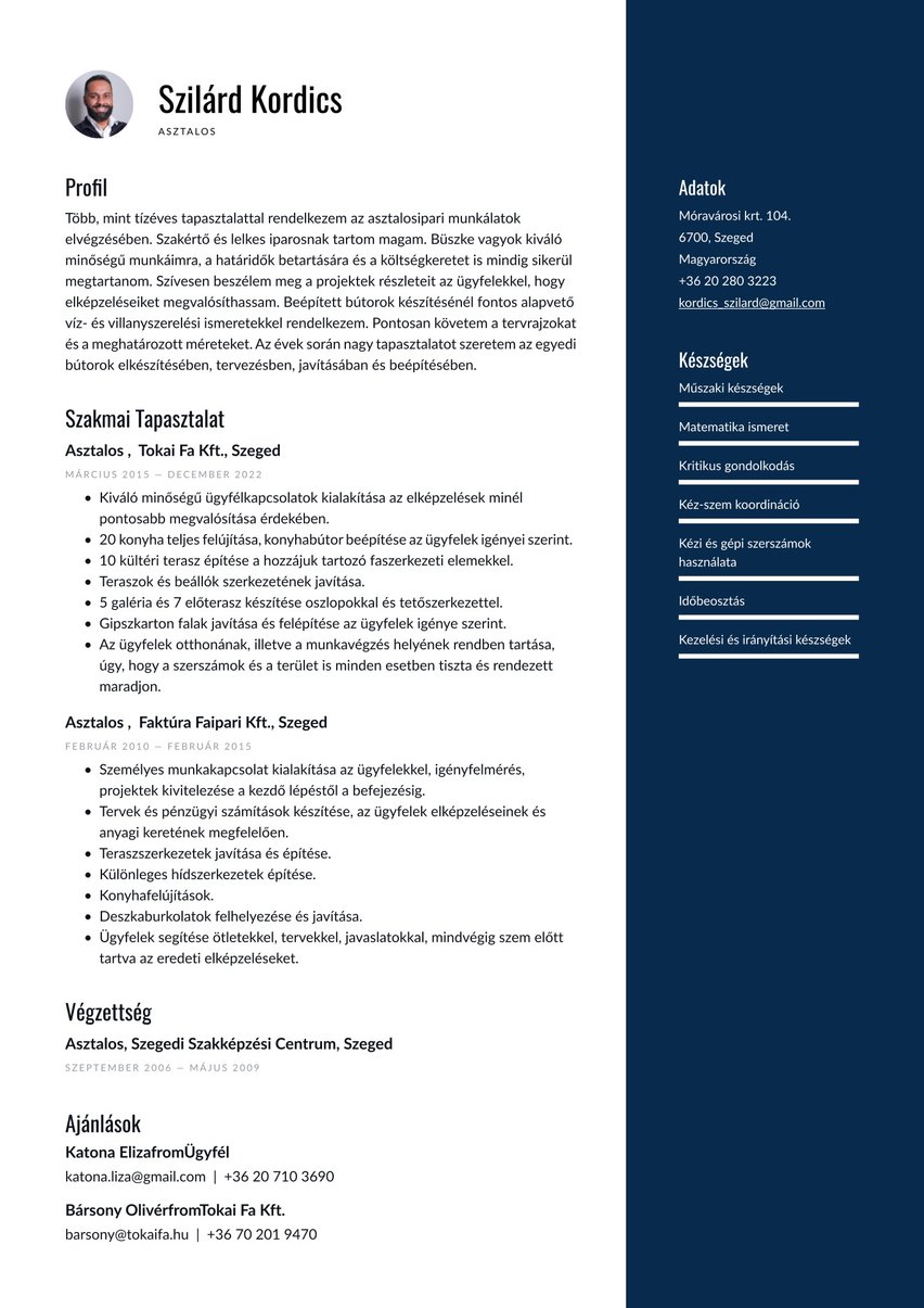 Sydney resume template