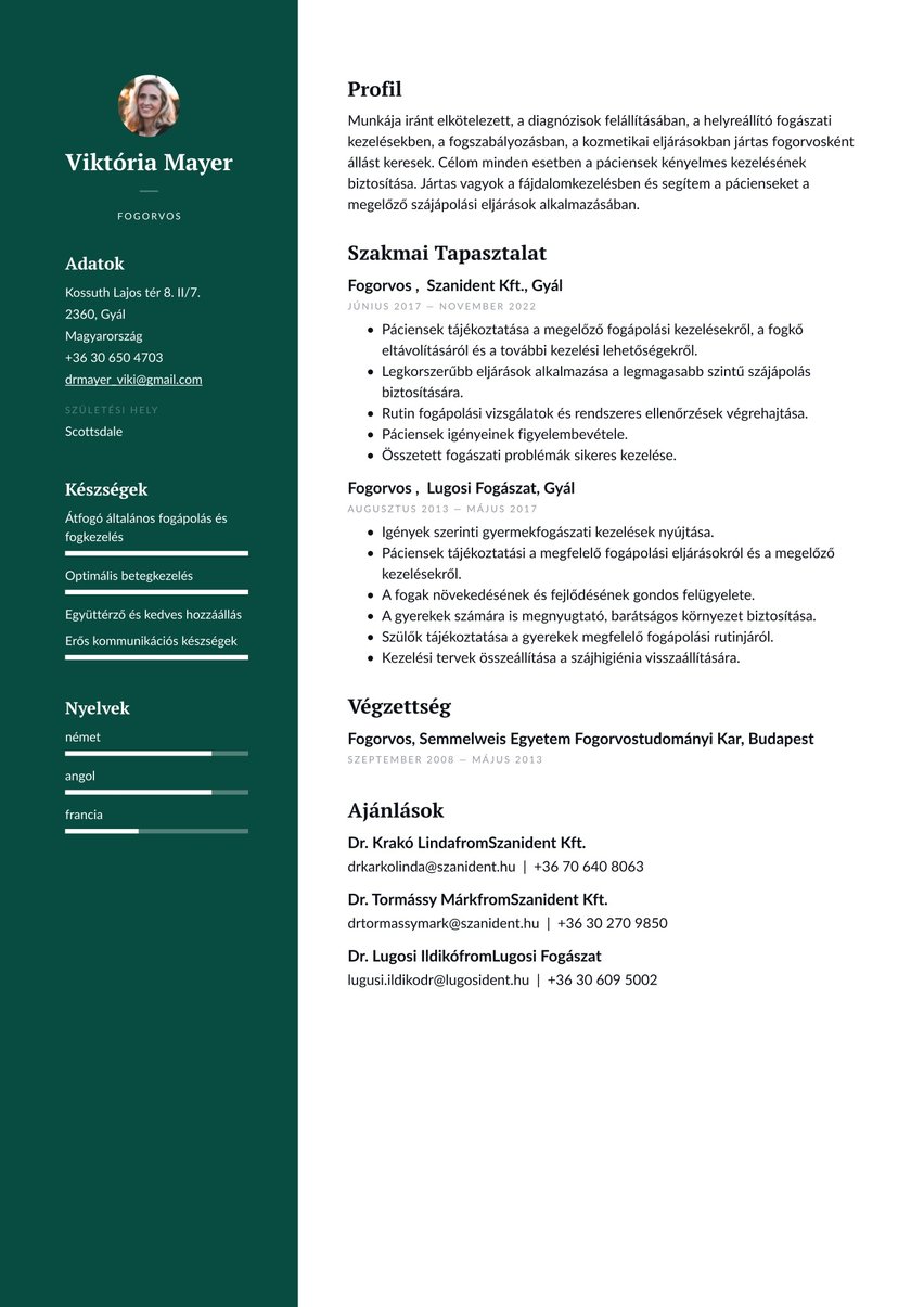 Dublin resume template