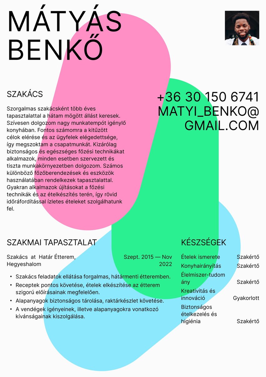 Fokváros resume template