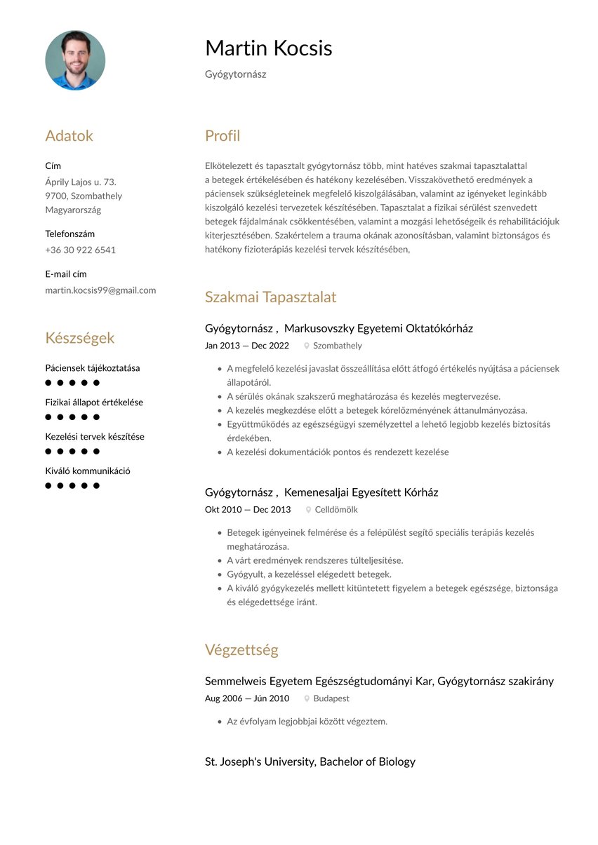 Milánó resume template