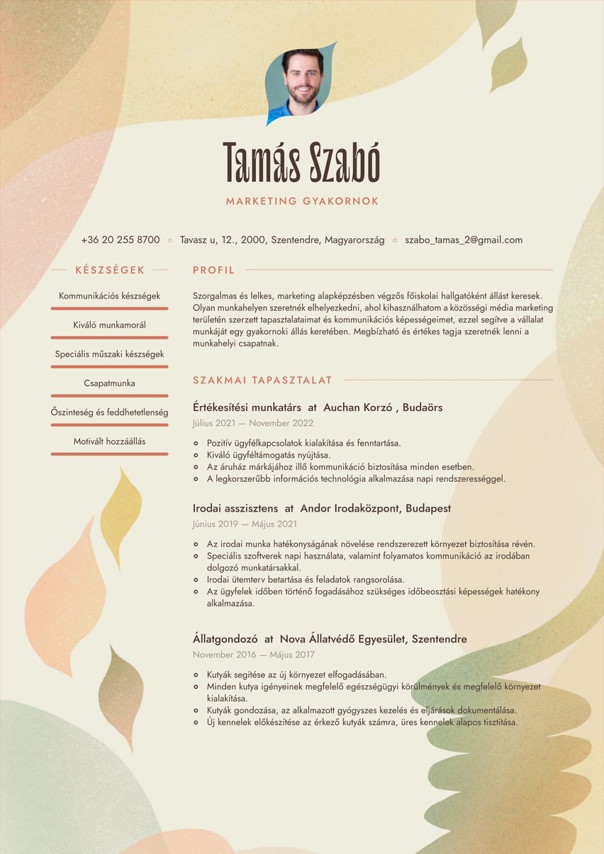 Rio resume template