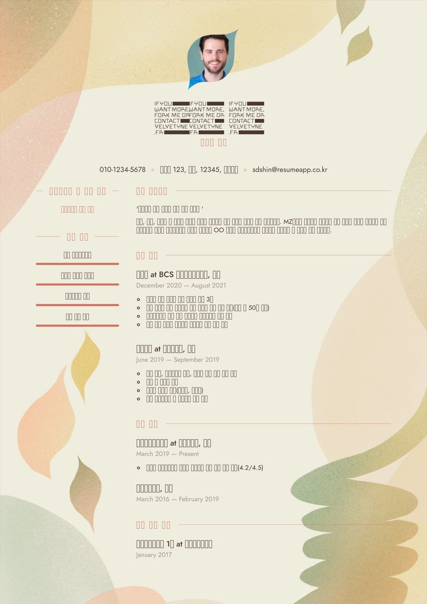 Rio resume template