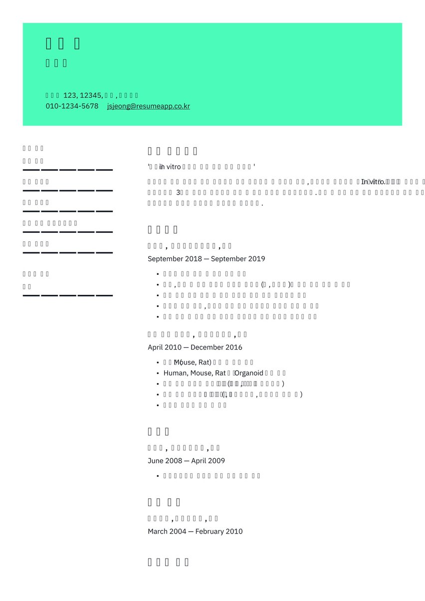Vienna resume template