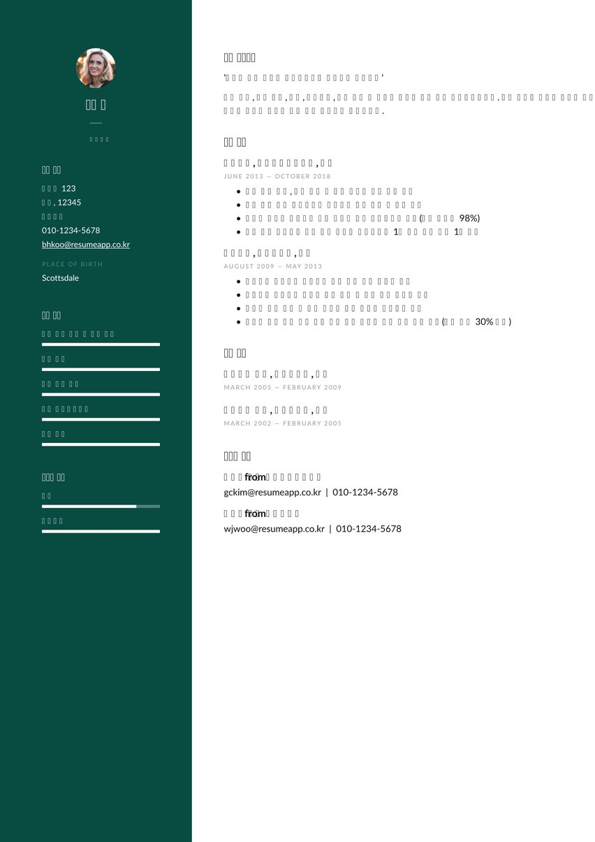 Dublin resume template