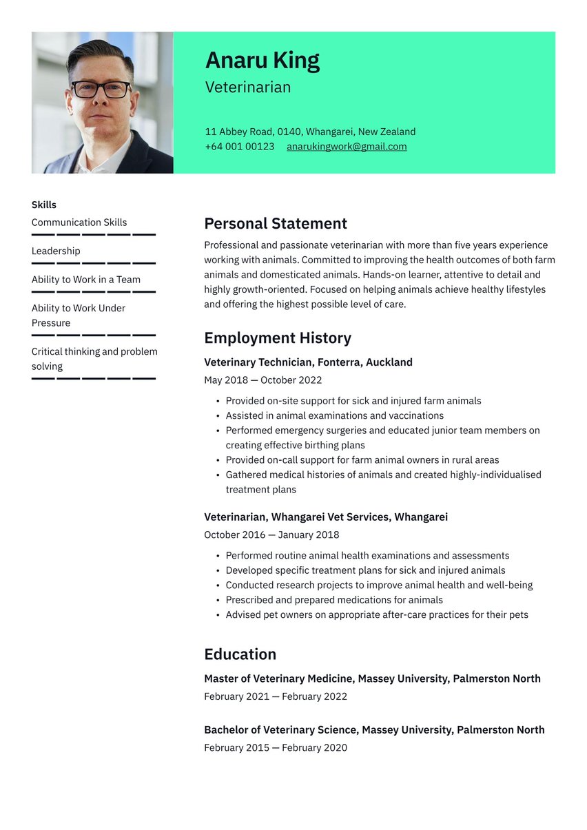 Vienna resume template