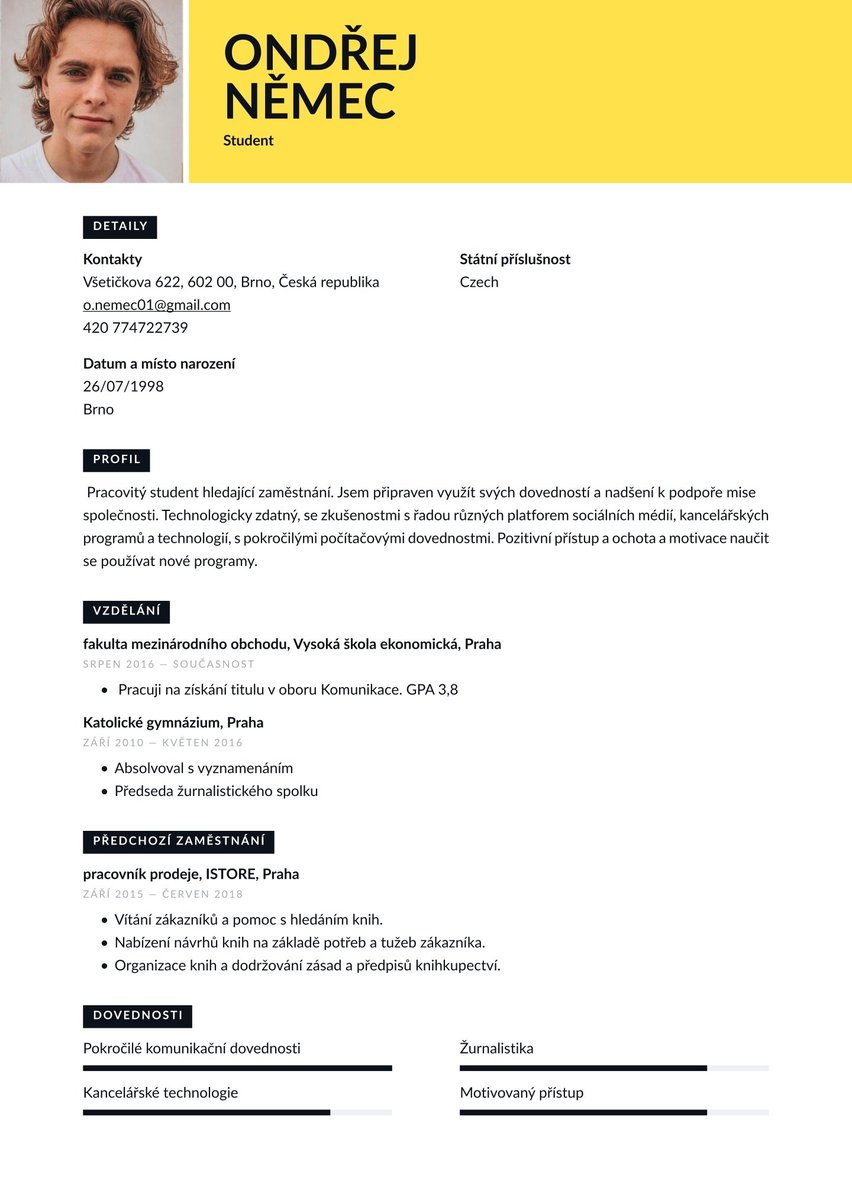 Madrid resume template