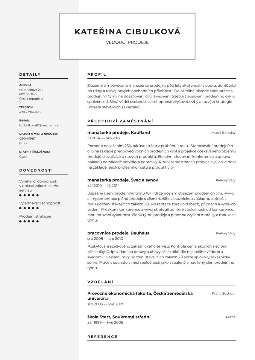 Amsterdam resume template